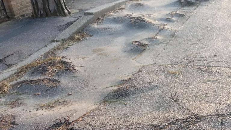 Ravenna, il Comitato: Lidi nord, strade disastrose Ravenna, il Comitato: Lidi nord, strade disastrose