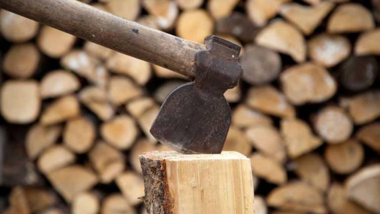 Poca legna, prezzi alti e non si trovano i boscaioli Poca legna, prezzi alti e non si trovano i boscaioli