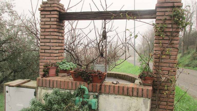 Longiano, il pozzo di Garibaldi e Anita riemerge dal passato Longiano, il pozzo di Garibaldi e Anita riemerge dal passato
