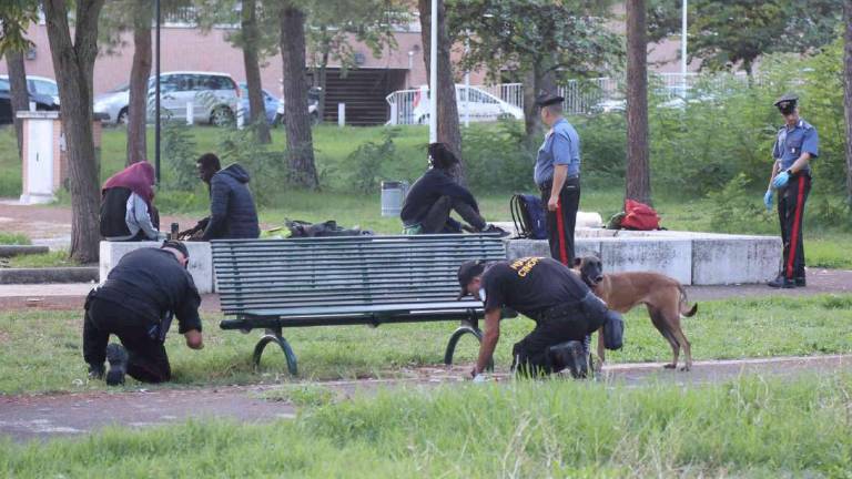 Cesena: controlli e denunce per detenzione e spaccio di droga Cesena: controlli e denunce per detenzione e spaccio di droga