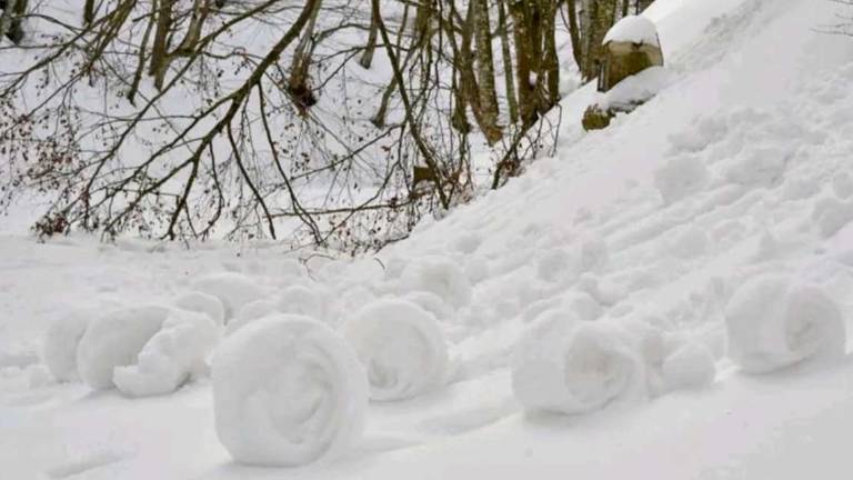 Le ruote di neve del Fumaiolo su Rai3 Le ruote di neve del Fumaiolo su Rai3