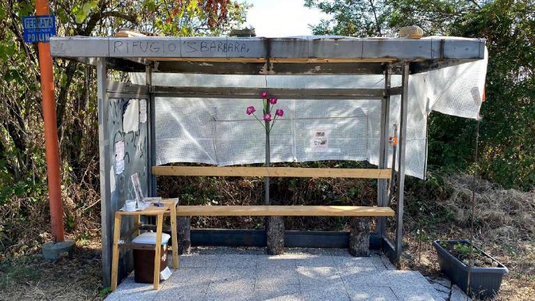 Cesena, piccolo borgo antico: libri, riviste e un mazzo di carte per chi aspetta il bus a Tessello Cesena, piccolo borgo antico: libri, riviste e un mazzo di carte per chi aspetta il bus a Tessello