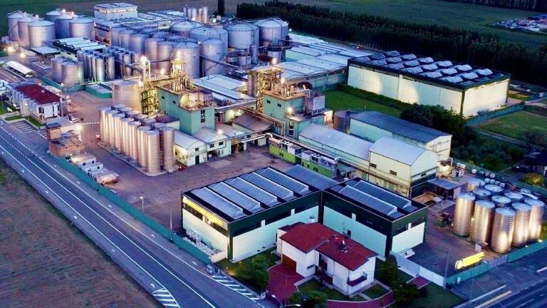 Un nuovo look e il nuovo logo Distillerie Mazzari guarda al futuro Un nuovo look e il nuovo logo Distillerie Mazzari guarda al futuro