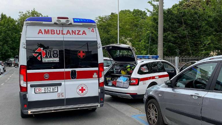 Donna aggredita e ferita da un cane a Cesena Donna aggredita e ferita da un cane a Cesena