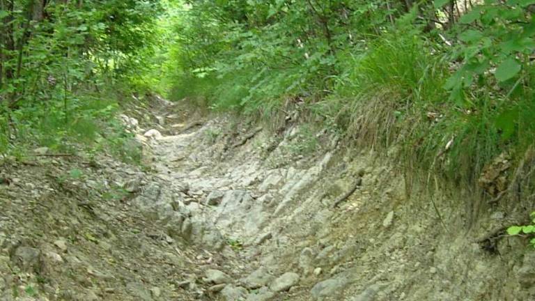 Rimini, il Cai: Basta con lo scempio delle moto dei sentieri Rimini, il Cai: Basta con lo scempio delle moto dei sentieri