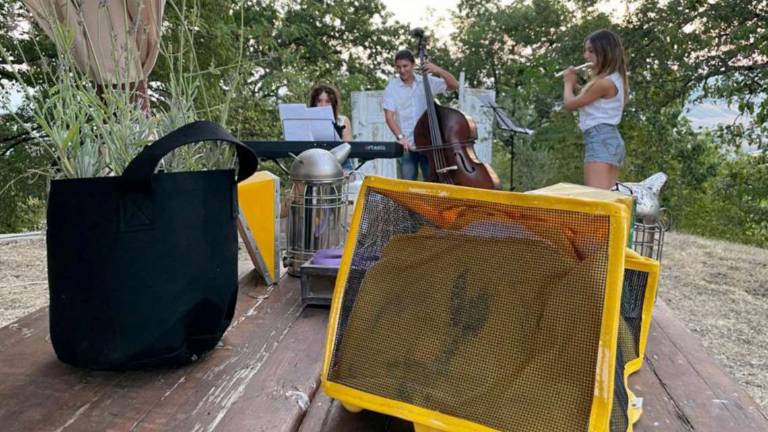 Forlì, un concerto all'alba per la smielatura Forlì, un concerto all'alba per la smielatura