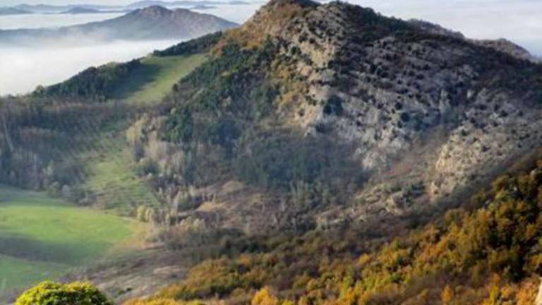 Borgo Tossignano, nasce il museo geologico del Parco Borgo Tossignano, nasce il museo geologico del Parco