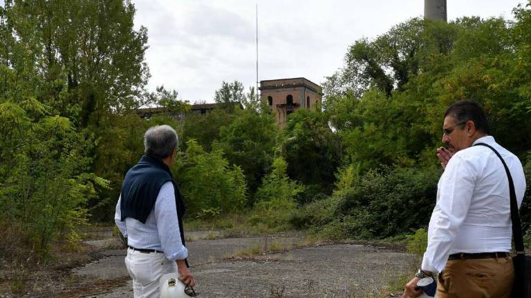 Forlì. Ex Eridania all'asta il 28 novembre Forlì. Ex Eridania all'asta il 28 novembre