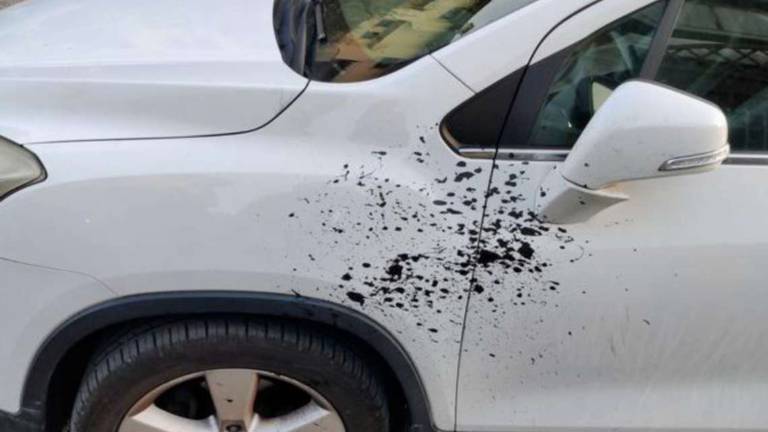 San Mauro Pascoli, vernice contro auto in sosta e vandalismi San Mauro Pascoli, vernice contro auto in sosta e vandalismi