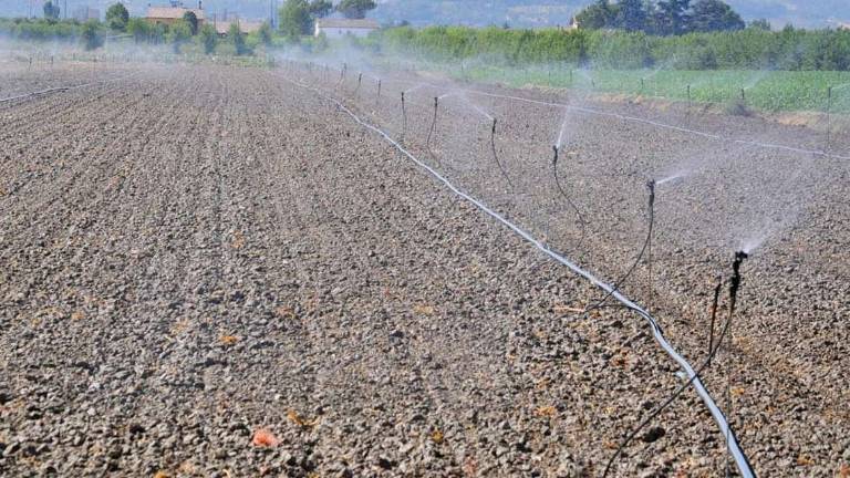 Cesena, pericolo siccità in campagna: si irriga come a luglio Cesena, pericolo siccità in campagna: si irriga come a luglio