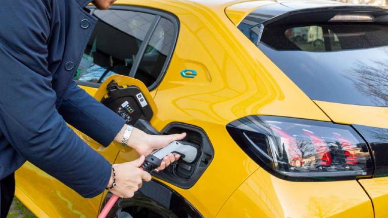 Ravenna, in un anno raddoppiato il numero di auto elettriche Ravenna, in un anno raddoppiato il numero di auto elettriche