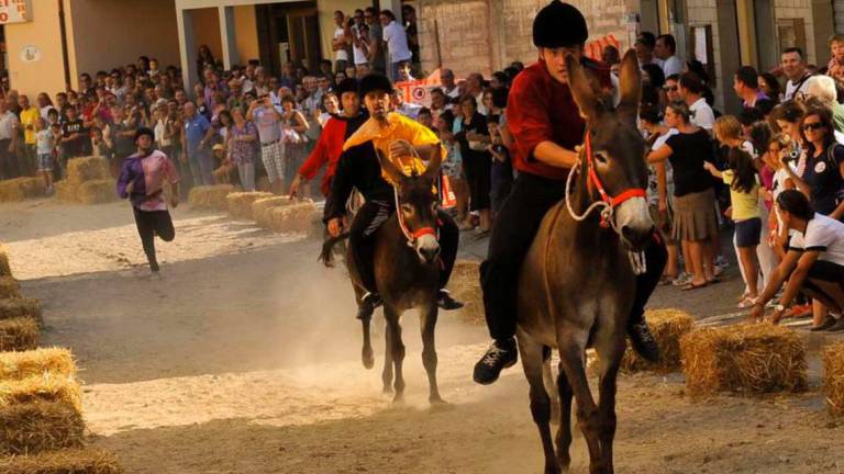 Valle Savio, sagre e palii tornano a impazzare dopo 2 anni di stop Valle Savio, sagre e palii tornano a impazzare dopo 2 anni di stop