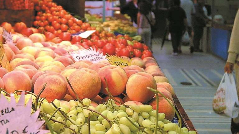 Rimini. Allarme del Caar: Prezzi alti, si rinuncia alla frutta Rimini. Allarme del Caar: Prezzi alti, si rinuncia alla frutta