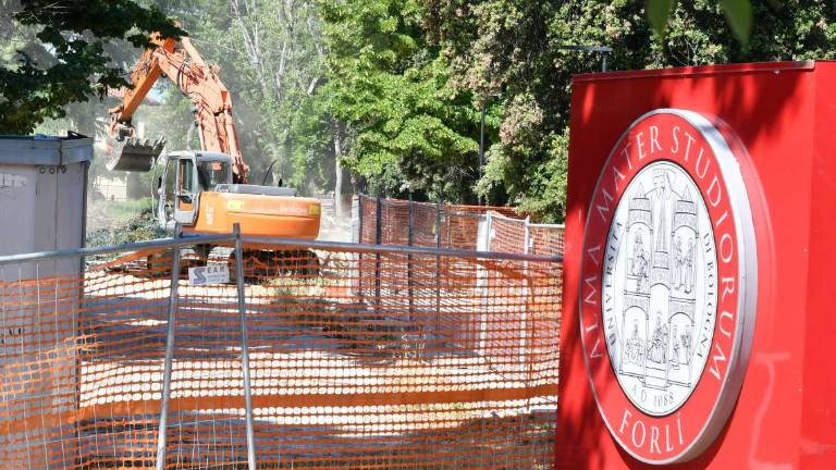 Forlì, parcheggio del Campus: partiti i lavori Forlì, parcheggio del Campus: partiti i lavori