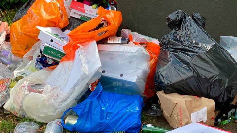 Ravenna, “basta rifiuti sulle piazzole della Romea”: Comune e Parco Delta del Po scrivono ad Anas Ravenna, “basta rifiuti sulle piazzole della Romea”: Comune e Parco Delta del Po scrivono ad Anas