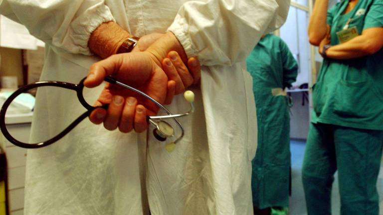 Sospetto caso di mucca pazza a Ravenna, eseguita l'autopsia Sospetto caso di mucca pazza a Ravenna, eseguita l'autopsia