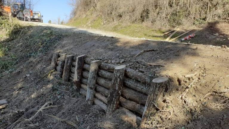 Meldola, lavori per 44mila euro in 33 strade vicinali Meldola, lavori per 44mila euro in 33 strade vicinali