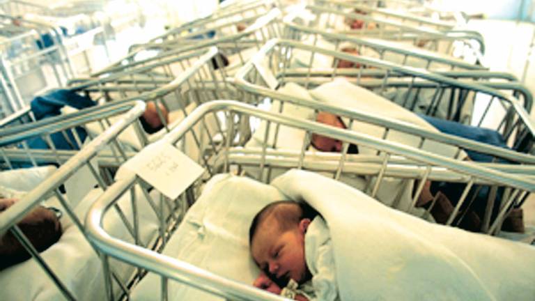 Rimini, un bebè in arrivo, la psicologa: “Così si gestisce la gelosia degli altri figli” Rimini, un bebè in arrivo, la psicologa: “Così si gestisce la gelosia degli altri figli”