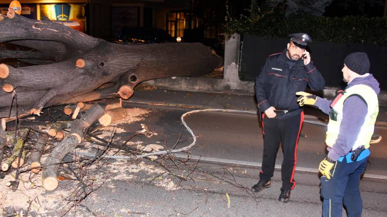 Romagna devastata dalle raffiche di vento: alberi crollati su case, auto e strade. Feriti a San Marino. Famiglie senza luce. Il fiume Montone oltre la soglia rossa Romagna devastata dalle raffiche di vento: alberi crollati su case, auto e strade. Feriti a San Marino. Famiglie senza luce. Il fiume Montone oltre la soglia rossa