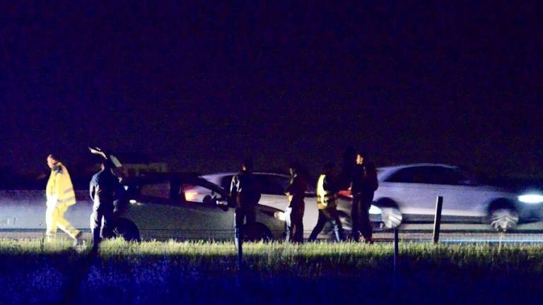 Entra in autostrada a Cesena la notte di Pasqua e investe un capriolo Entra in autostrada a Cesena la notte di Pasqua e investe un capriolo