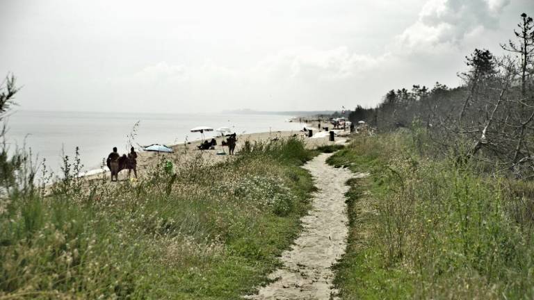 Sesso in spiaggia a Lido di Dante. Coppia multata per 20mila euro Sesso in spiaggia a Lido di Dante. Coppia multata per 20mila euro