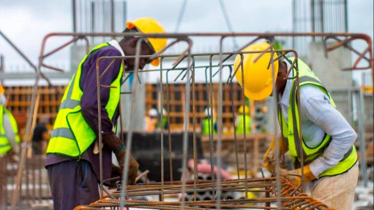 Economia, flessione di agricoltura e costruzioni a Rimini e Forlì-Cesena Economia, flessione di agricoltura e costruzioni a Rimini e Forlì-Cesena