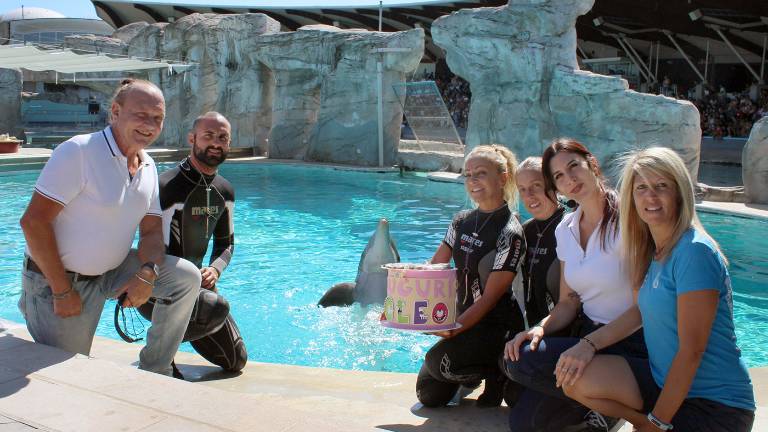 Torte di pesci per i delfini fidanzatini della Laguna di Riccione Torte di pesci per i delfini fidanzatini della Laguna di Riccione