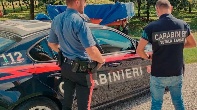 Ravenna. Controlli nel settore agricolo: due imprenditori denunciati e un’azienda sospesa Ravenna. Controlli nel settore agricolo: due imprenditori denunciati e un’azienda sospesa