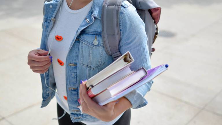 Coronavirus, a Rimini solo alcune scuole assegnano compiti via Internet Coronavirus, a Rimini solo alcune scuole assegnano compiti via Internet
