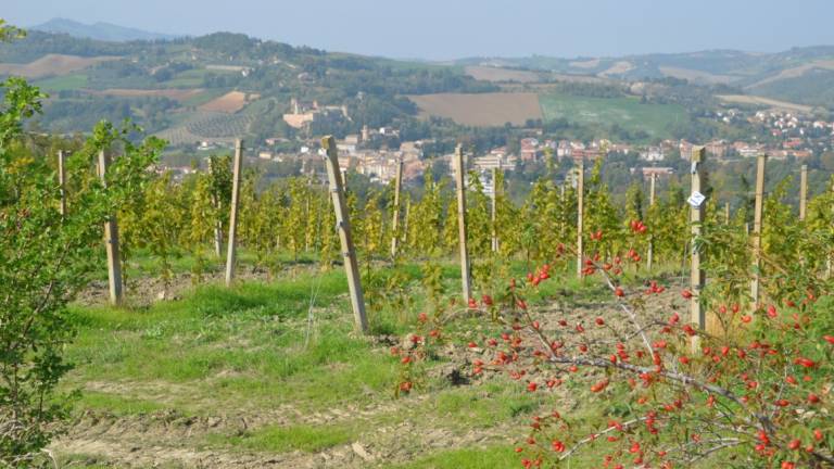 Castrocaro, siccità e nuovi invasi: continua il censimento Castrocaro, siccità e nuovi invasi: continua il censimento