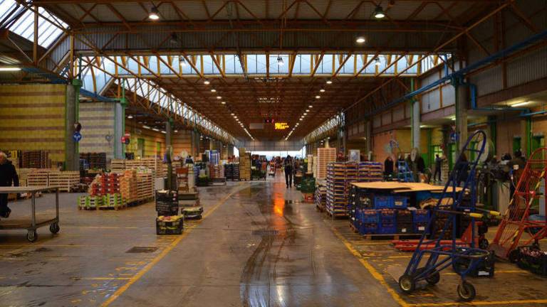 Cesena, entro primavera via ai lavori al Mercato Ortofrutticolo Cesena, entro primavera via ai lavori al Mercato Ortofrutticolo