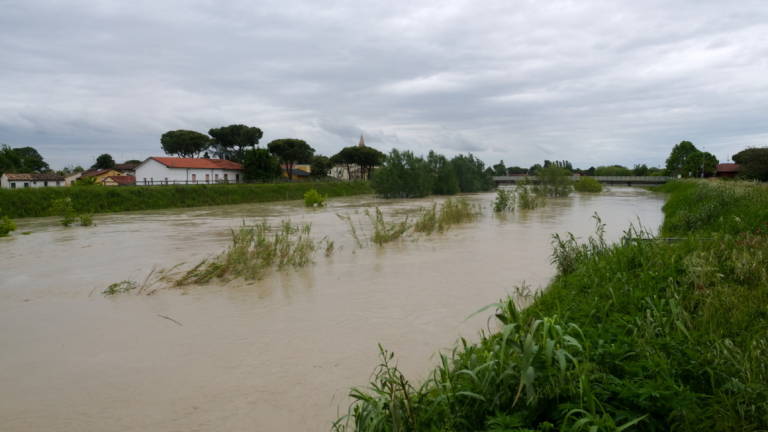 Cesena: da domani a fine anno in mostra tutte le stagioni del fiume Savio Cesena: da domani a fine anno in mostra tutte le stagioni del fiume Savio