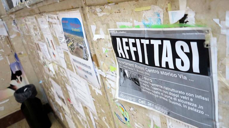 Università, affitti sempre più cari, Bologna la più costosa dopo Milano. Ecco i prezzi Università, affitti sempre più cari, Bologna la più costosa dopo Milano. Ecco i prezzi