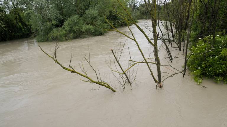 Ravenna, piena del Savio: evacuazione per le abitazioni lungo l'argine sinistro Ravenna, piena del Savio: evacuazione per le abitazioni lungo l'argine sinistro