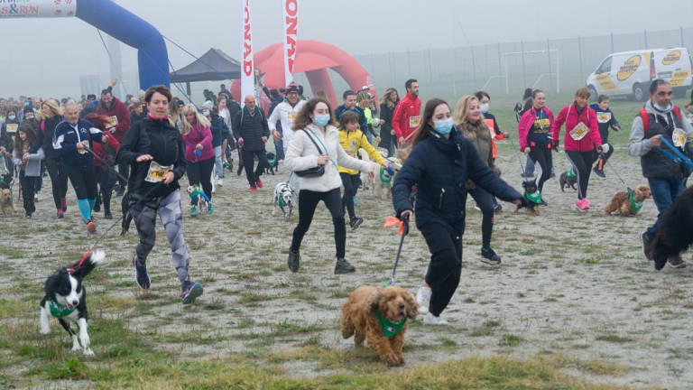 Ravenna, tutti di corsa con il cane aspettando la maratona Ravenna, tutti di corsa con il cane aspettando la maratona