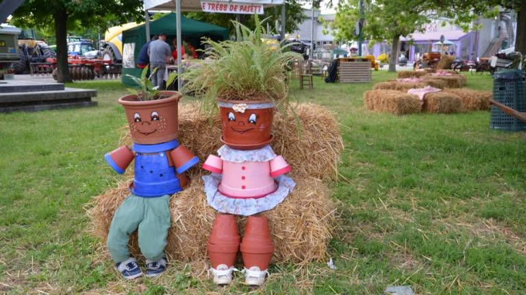 Sagra delle Alfonsine, il programma Sagra delle Alfonsine, il programma