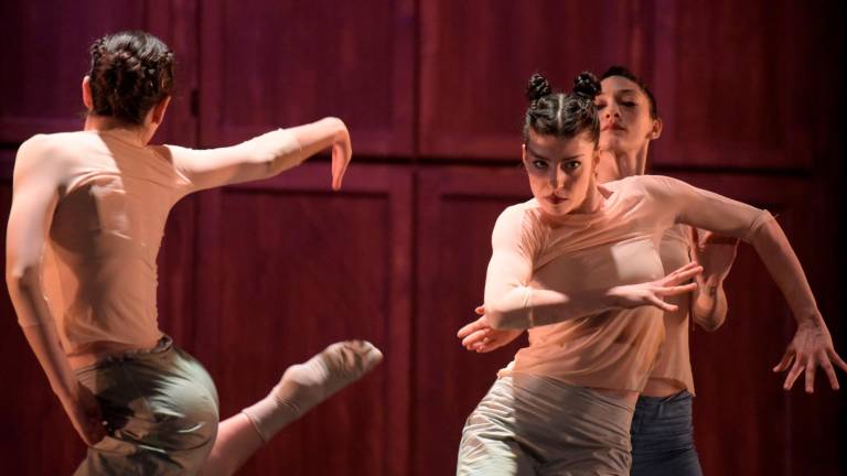 Teatro Diego Fabbri di Forlì: sabato parte la prevendita dei biglietti per tutti gli spettacoli della stagione Teatro Diego Fabbri di Forlì: sabato parte la prevendita dei biglietti per tutti gli spettacoli della stagione