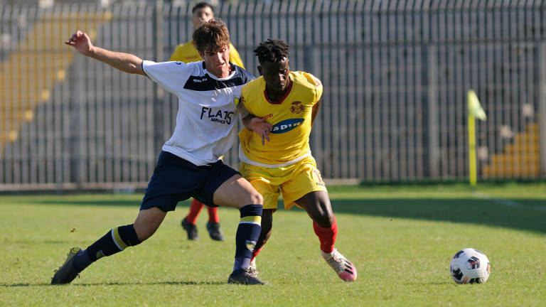 Calcio D coppa Italia, il Ravenna spazza via il Sasso Marconi (3-0) Calcio D coppa Italia, il Ravenna spazza via il Sasso Marconi (3-0)