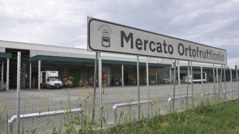 Cesena, mercato ortofrutticolo: progetto da 7 milioni col Pnrr, approvato lo studio di fattibilità Cesena, mercato ortofrutticolo: progetto da 7 milioni col Pnrr, approvato lo studio di fattibilità