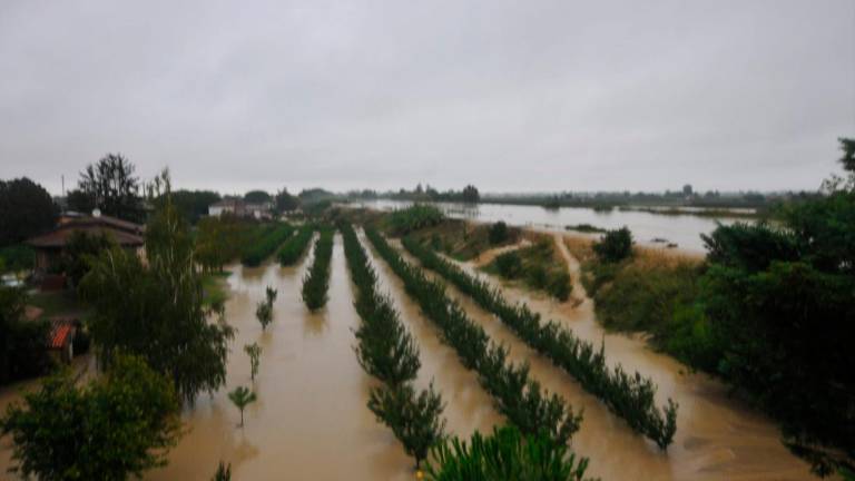 Maltempo in Romagna, il Lamone rompe l’argine a Traversara, file sulla A14 dir - GALLERY Maltempo in Romagna, il Lamone rompe l’argine a Traversara, file sulla A14 dir - GALLERY