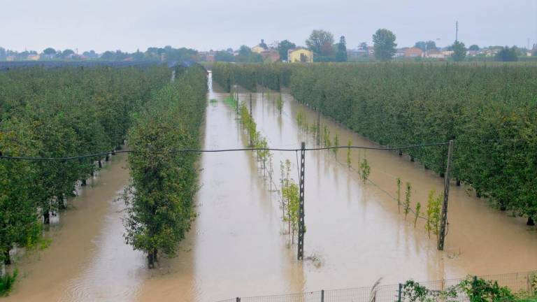 Maltempo in Romagna, il Lamone rompe l’argine a Traversara, file sulla A14 dir - GALLERY Maltempo in Romagna, il Lamone rompe l’argine a Traversara, file sulla A14 dir - GALLERY