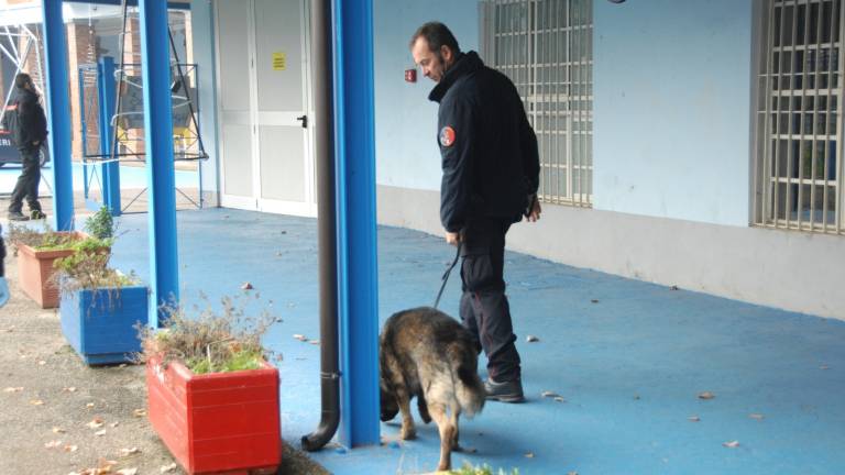 Forlì, controlli anti droga a scuola con i cani Forlì, controlli anti droga a scuola con i cani