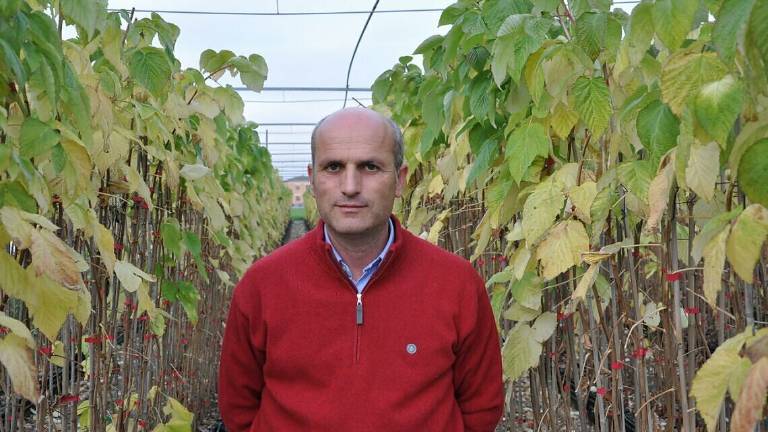 Cesena: un anno fa moriva Gilberto Molari, genio dei piccoli frutti Cesena: un anno fa moriva Gilberto Molari, genio dei piccoli frutti