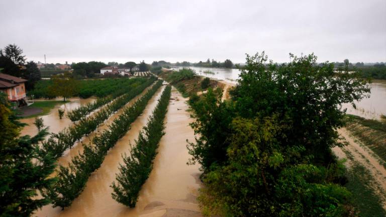 Maltempo in Romagna, il Lamone rompe l’argine a Traversara, file sulla A14 dir - GALLERY Maltempo in Romagna, il Lamone rompe l’argine a Traversara, file sulla A14 dir - GALLERY