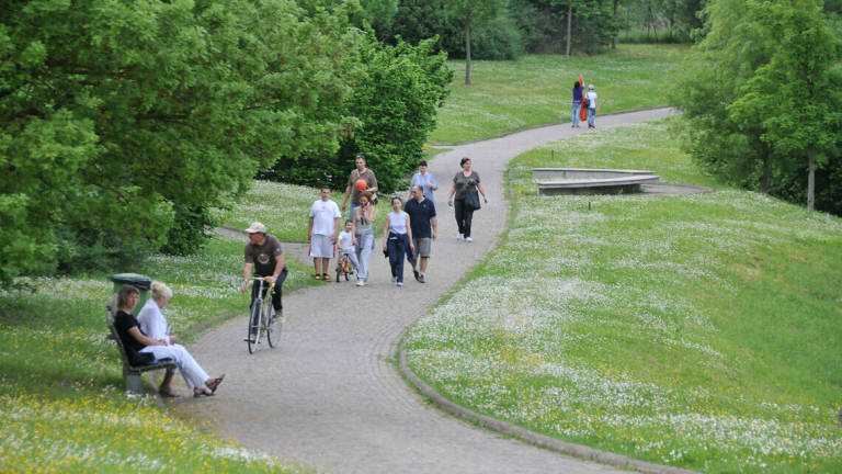 Forlì, Rotaract pulisce il parco urbano Forlì, Rotaract pulisce il parco urbano