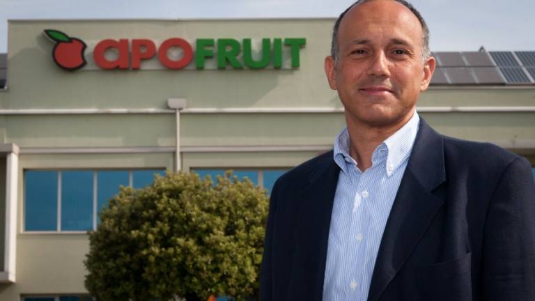 Cesena, Apofruit migliore datore di lavoro in Italia: lo rivela una ricerca tedesca sull'agricoltura Cesena, Apofruit migliore datore di lavoro in Italia: lo rivela una ricerca tedesca sull'agricoltura