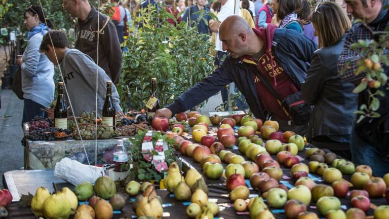 Faenza, stop a sagre e fiere Faenza, stop a sagre e fiere