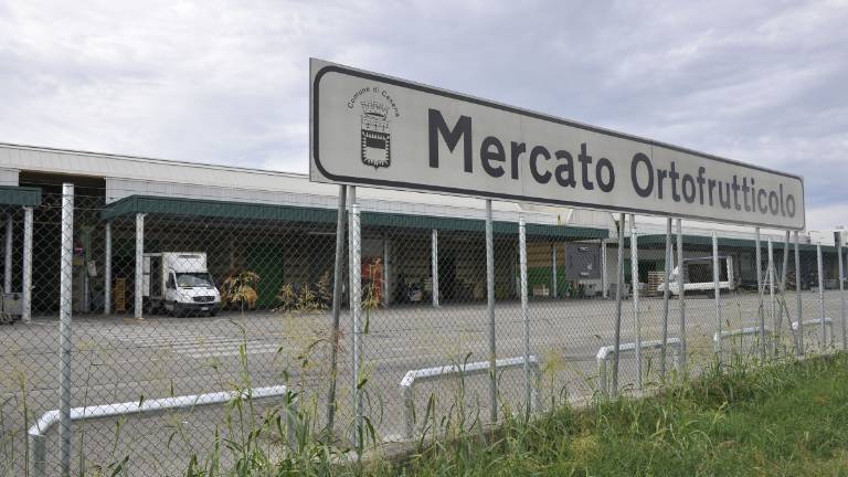 Violenza al mercato ortofrutticolo di Cesena, decisivi badge e filmati Violenza al mercato ortofrutticolo di Cesena, decisivi badge e filmati