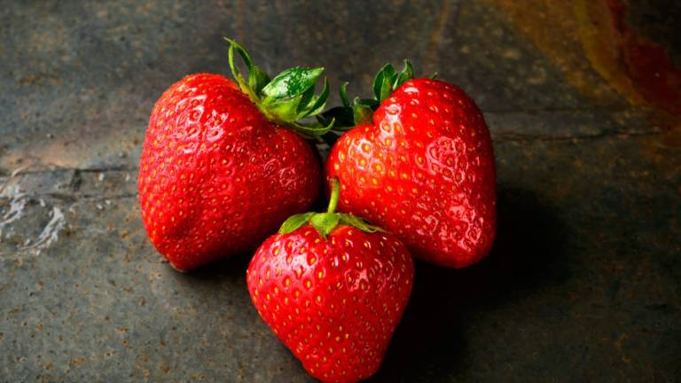La frutta ravennate si presenta alla fiera mondiale di Berlino La frutta ravennate si presenta alla fiera mondiale di Berlino