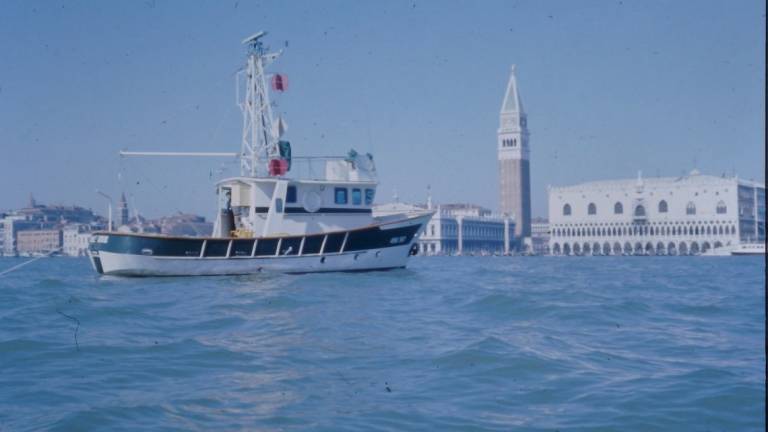 Daphne, la storia della barca che salvò l'Adriatico Daphne, la storia della barca che salvò l'Adriatico